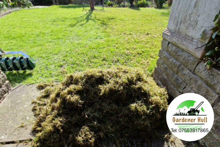 Creating a beautiful lawn