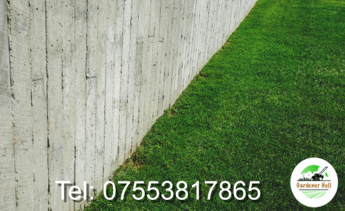 well maintained lawn bordering a fence.